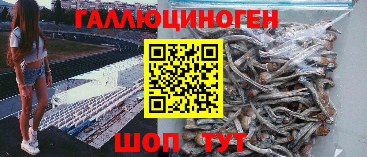 Псилоцибиновые грибы Cubensis  Вход с VPN  Славянск-на-Кубани 