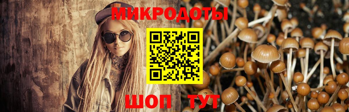 Псилоцибиновые грибы GOLDEN TEACHER Славянск-на-Кубани